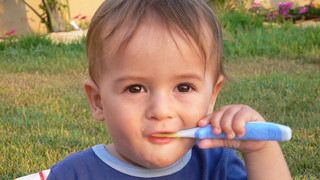 breastfeeding toddler tooth decay