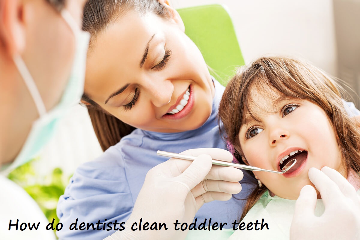 How do dentists clean toddler teeth