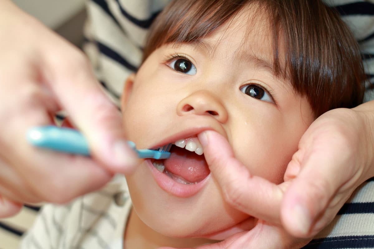 how to brush toddler teeth