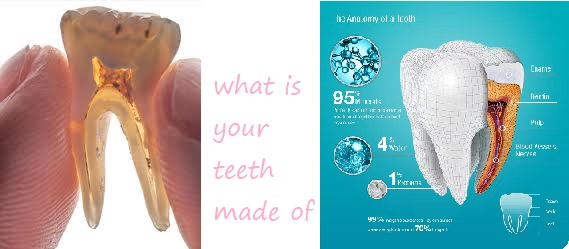 what is teeth made of