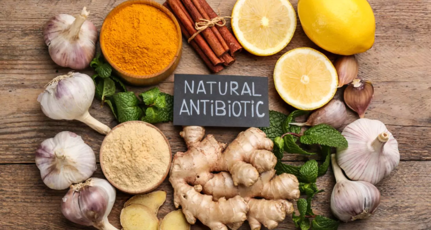 what is the strongest natural antibiotic for tooth infection