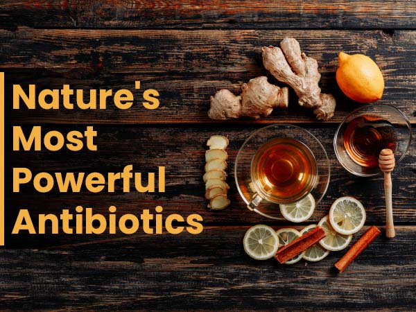 what is the strongest natural antibiotic for tooth infection