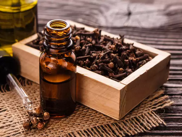 Clove-oil-best pain reliever for toothache, best medicine for tooth pain, best painkiller for tooth nerve pain, painkiller for toothache, strongest toothache medicine