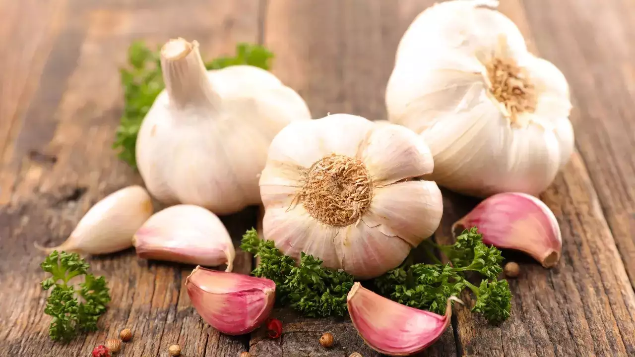 Garlic as best pain reliever for toothache, best medicine for tooth pain, best painkiller for tooth nerve pain, painkiller for toothache, strongest toothache medicine