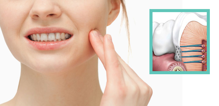 Molar Teeth Pain: Causes, Symptoms, and Effective Relief for Back Molar Pain